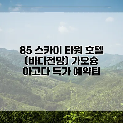 85 스카이 타워 호텔 (바다전망) 가오슝 아고다 특가 예약팁