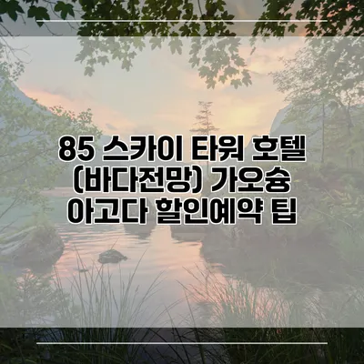 85 스카이 타워 호텔 (바다전망) 가오슝 아고다 할인예약 팁