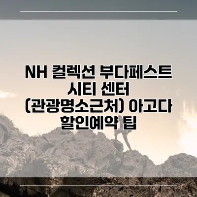 NH 컬렉션 부다페스트 시티 센터 (관광명소근처) 아고다 할인예약 팁