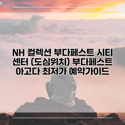 NH 컬렉션 부다페스트 시티 센터 (도심위치) 부다페스트 아고다 최저가 예약가이드