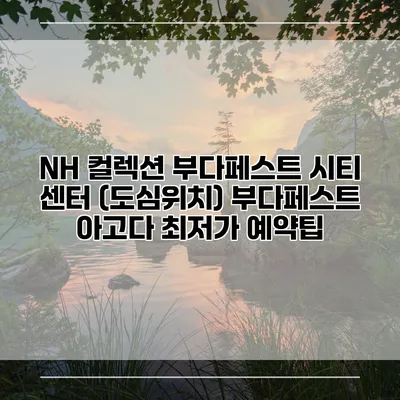 NH 컬렉션 부다페스트 시티 센터 (도심위치) 부다페스트 아고다 최저가 예약팁
