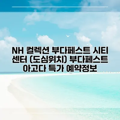NH 컬렉션 부다페스트 시티 센터 (도심위치) 부다페스트 아고다 특가 예약정보