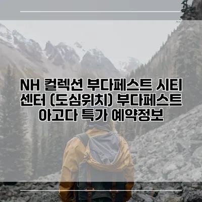 NH 컬렉션 부다페스트 시티 센터 (도심위치) 부다페스트 아고다 특가 예약정보