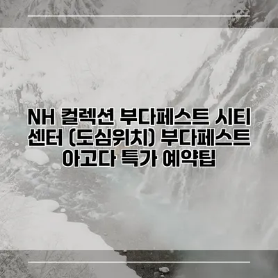 NH 컬렉션 부다페스트 시티 센터 (도심위치) 부다페스트 아고다 특가 예약팁