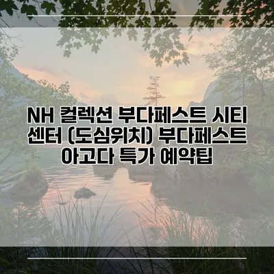 NH 컬렉션 부다페스트 시티 센터 (도심위치) 부다페스트 아고다 특가 예약팁