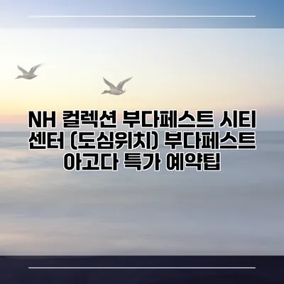 NH 컬렉션 부다페스트 시티 센터 (도심위치) 부다페스트 아고다 특가 예약팁