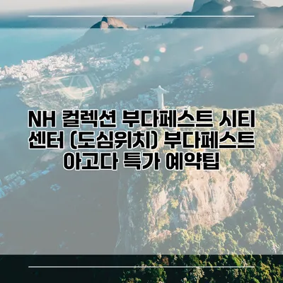 NH 컬렉션 부다페스트 시티 센터 (도심위치) 부다페스트 아고다 특가 예약팁