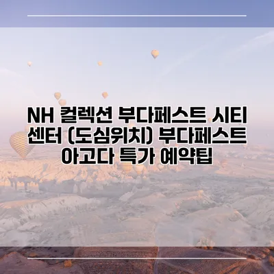 NH 컬렉션 부다페스트 시티 센터 (도심위치) 부다페스트 아고다 특가 예약팁