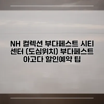 NH 컬렉션 부다페스트 시티 센터 (도심위치) 부다페스트 아고다 할인예약 팁