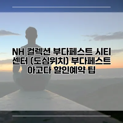 NH 컬렉션 부다페스트 시티 센터 (도심위치) 부다페스트 아고다 할인예약 팁