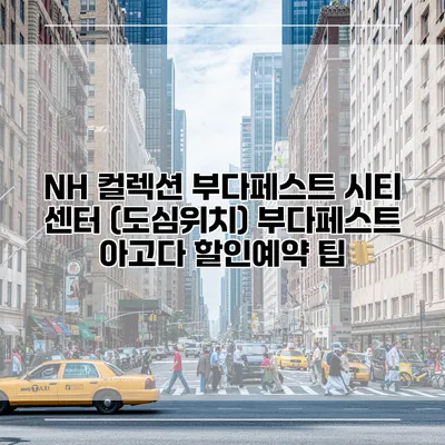 NH 컬렉션 부다페스트 시티 센터 (도심위치) 부다페스트 아고다 할인예약 팁
