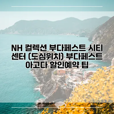NH 컬렉션 부다페스트 시티 센터 (도심위치) 부다페스트 아고다 할인예약 팁
