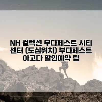 NH 컬렉션 부다페스트 시티 센터 (도심위치) 부다페스트 아고다 할인예약 팁