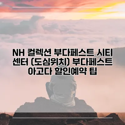 NH 컬렉션 부다페스트 시티 센터 (도심위치) 부다페스트 아고다 할인예약 팁