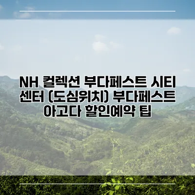 NH 컬렉션 부다페스트 시티 센터 (도심위치) 부다페스트 아고다 할인예약 팁