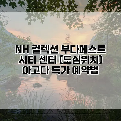 NH 컬렉션 부다페스트 시티 센터 (도심위치) 아고다 특가 예약법
