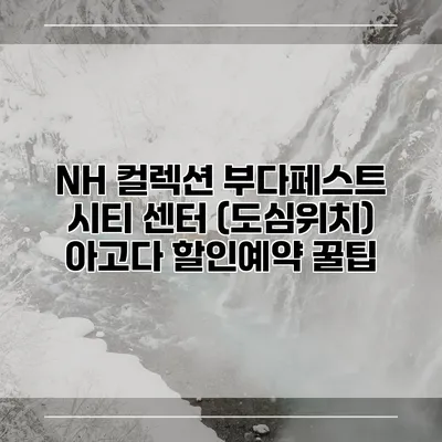 NH 컬렉션 부다페스트 시티 센터 (도심위치) 아고다 할인예약 꿀팁