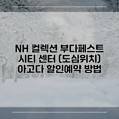 NH 컬렉션 부다페스트 시티 센터 (도심위치) 아고다 할인예약 방법