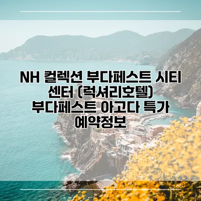 NH 컬렉션 부다페스트 시티 센터 (럭셔리호텔) 부다페스트 아고다 특가 예약정보
