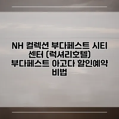 NH 컬렉션 부다페스트 시티 센터 (럭셔리호텔) 부다페스트 아고다 할인예약 비법