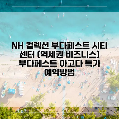 NH 컬렉션 부다페스트 시티 센터 (역세권 비즈니스) 부다페스트 아고다 특가 예약방법