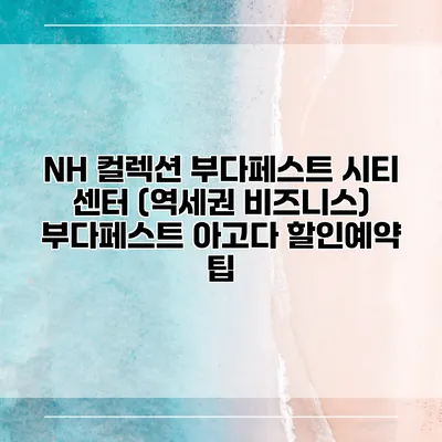 NH 컬렉션 부다페스트 시티 센터 (역세권 비즈니스) 부다페스트 아고다 할인예약 팁