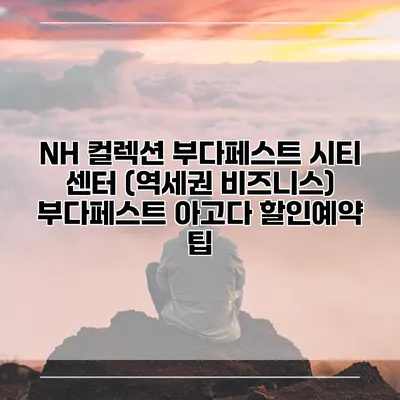 NH 컬렉션 부다페스트 시티 센터 (역세권 비즈니스) 부다페스트 아고다 할인예약 팁
