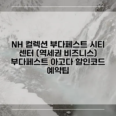 NH 컬렉션 부다페스트 시티 센터 (역세권 비즈니스) 부다페스트 아고다 할인코드 예약팁