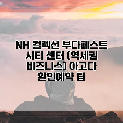 NH 컬렉션 부다페스트 시티 센터 (역세권 비즈니스) 아고다 할인예약 팁