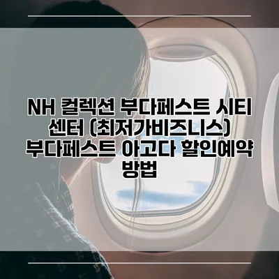 NH 컬렉션 부다페스트 시티 센터 (최저가비즈니스) 부다페스트 아고다 할인예약 방법