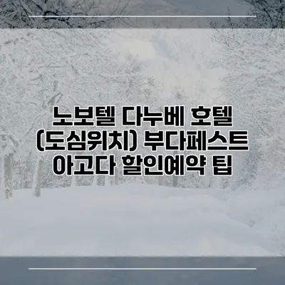 노보텔 다누베 호텔 (도심위치) 부다페스트 아고다 할인예약 팁