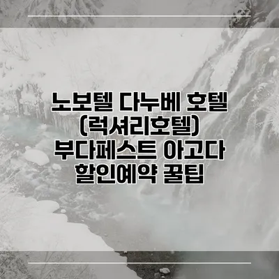 노보텔 다누베 호텔 (럭셔리호텔) 부다페스트 아고다 할인예약 꿀팁
