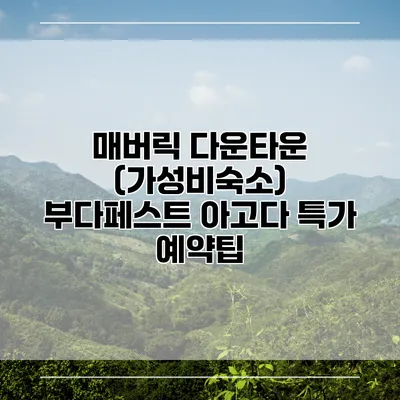 매버릭 다운타운 (가성비숙소) 부다페스트 아고다 특가 예약팁