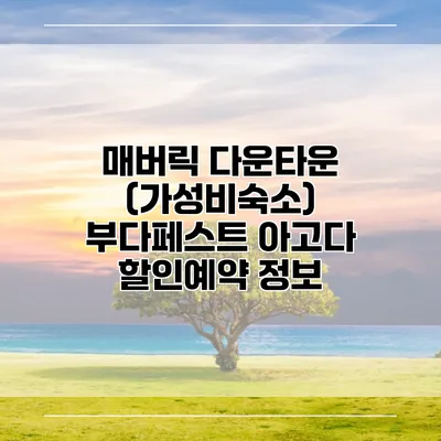 매버릭 다운타운 (가성비숙소) 부다페스트 아고다 할인예약 정보