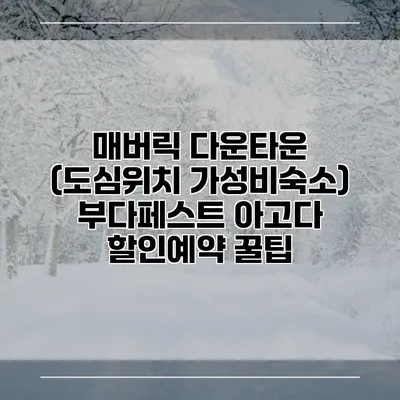 매버릭 다운타운 (도심위치 가성비숙소) 부다페스트 아고다 할인예약 꿀팁