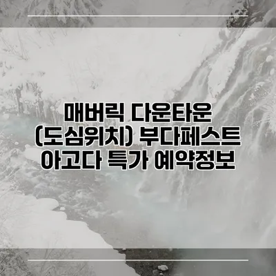 매버릭 다운타운 (도심위치) 부다페스트 아고다 특가 예약정보