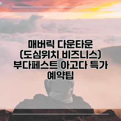 매버릭 다운타운 (도심위치 비즈니스) 부다페스트 아고다 특가 예약팁