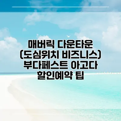 매버릭 다운타운 (도심위치 비즈니스) 부다페스트 아고다 할인예약 팁