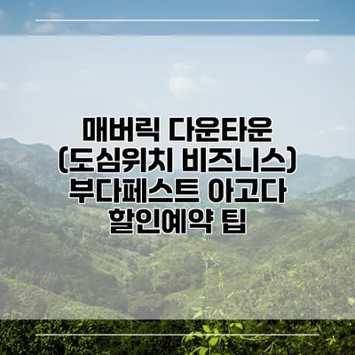 매버릭 다운타운 (도심위치 비즈니스) 부다페스트 아고다 할인예약 팁