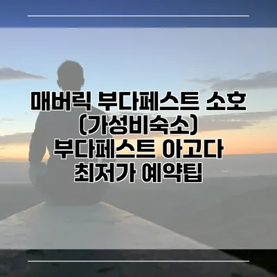 매버릭 부다페스트 소호 (가성비숙소) 부다페스트 아고다 최저가 예약팁