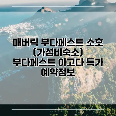 매버릭 부다페스트 소호 (가성비숙소) 부다페스트 아고다 특가 예약정보