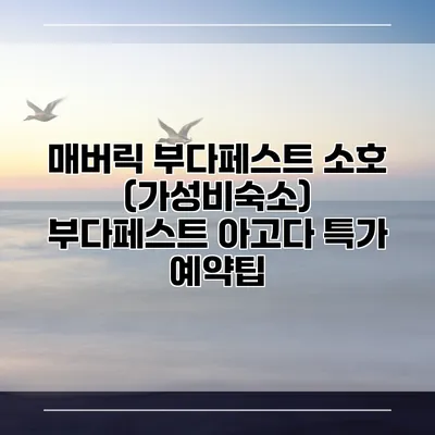 매버릭 부다페스트 소호 (가성비숙소) 부다페스트 아고다 특가 예약팁