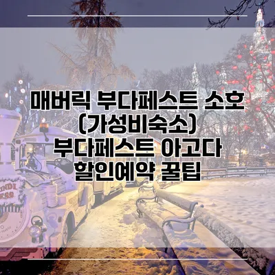 매버릭 부다페스트 소호 (가성비숙소) 부다페스트 아고다 할인예약 꿀팁