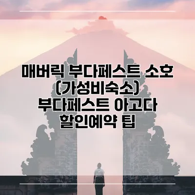 매버릭 부다페스트 소호 (가성비숙소) 부다페스트 아고다 할인예약 팁