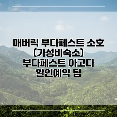 매버릭 부다페스트 소호 (가성비숙소) 부다페스트 아고다 할인예약 팁