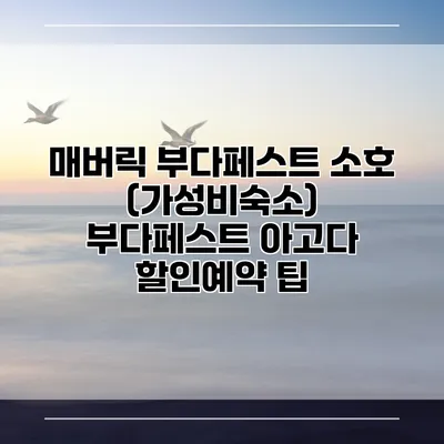 매버릭 부다페스트 소호 (가성비숙소) 부다페스트 아고다 할인예약 팁