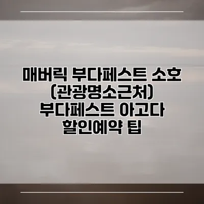 매버릭 부다페스트 소호 (관광명소근처) 부다페스트 아고다 할인예약 팁