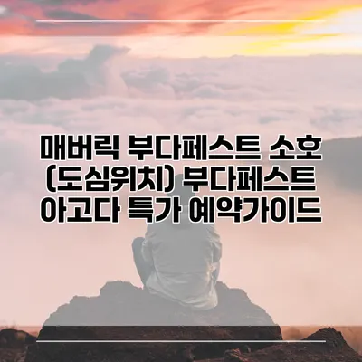 매버릭 부다페스트 소호 (도심위치) 부다페스트 아고다 특가 예약가이드