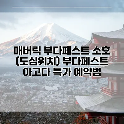 매버릭 부다페스트 소호 (도심위치) 부다페스트 아고다 특가 예약법