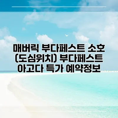 매버릭 부다페스트 소호 (도심위치) 부다페스트 아고다 특가 예약정보
